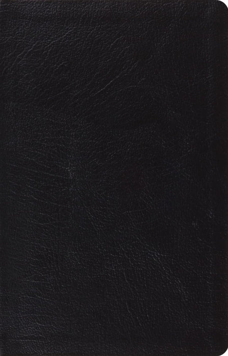 ESV Large Print Thinline Reference Bible, Red Letter