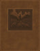 NKJV New Testament, Tracing Edition, Brown