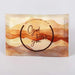 Tissues - God Bless You Browns (Pack of 12)