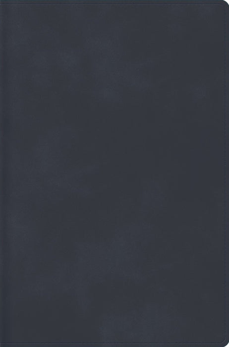 RVR 1960 Biblia Descubre Tu Fe, Gris Azulado, Símil Piel