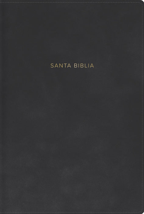 RVR 1960 Biblia Letra Grande, Tamaño Manual, Gris