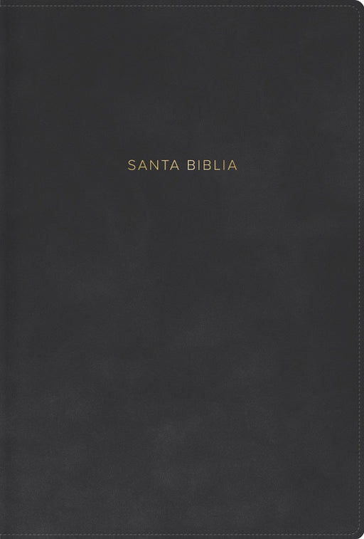 RVR 1960 Biblia Letra Grande, Tamaño Manual, Gris