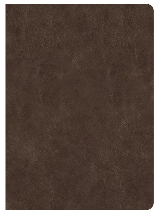 CSB Lumen Dei Bible, Lux Verbi: Verse-By-Verse Reference