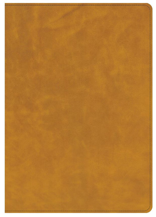 CSB Lumen Dei Bible, Lux Vitae: Single-Column Verse-By-Verse