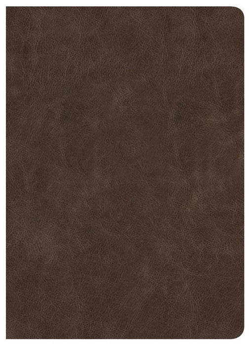 CSB Lumen Dei Bible, Lux Gloriae: Single-Column Wide-Margin