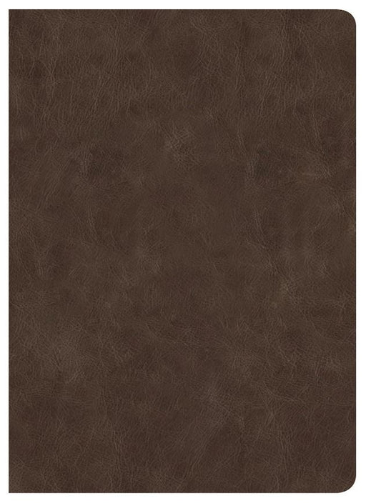 CSB Lumen Dei Bible, Lux Gloriae: Single-Column Wide-Margin