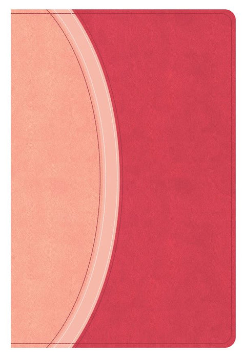 CSB Rainbow Study Bible, Pink Leathertouch