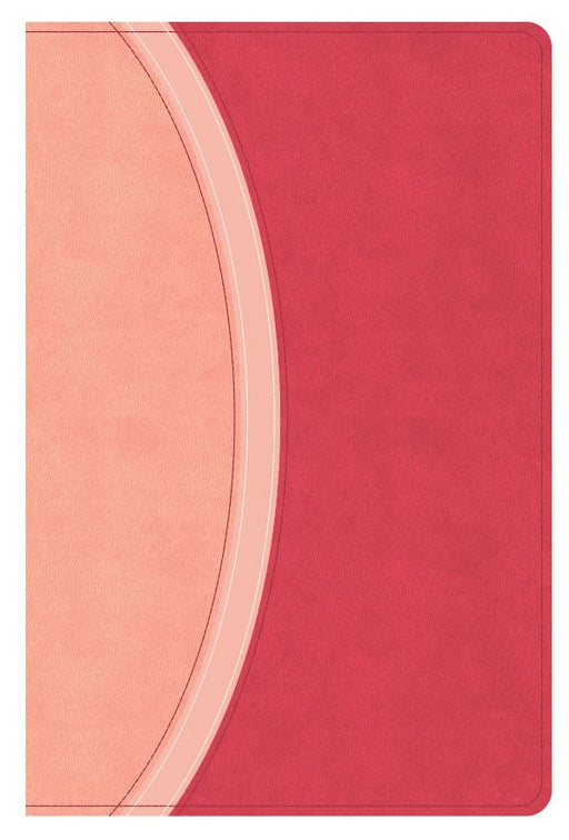 CSB Rainbow Study Bible, Pink Leathertouch