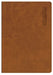 CSB Apologetics Study Bible For Students, Brown, Indexed
