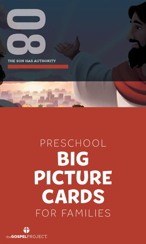 Gospel Project: Preschool Big Picture Cards, Summer 2026