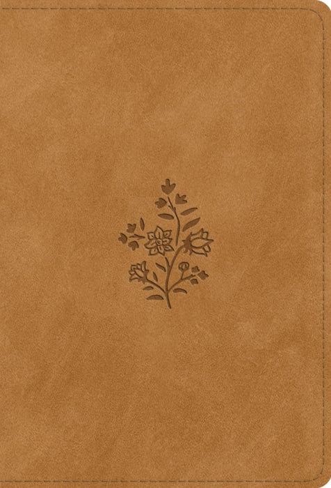 ESV Large Print Compact Bible, Red Letter, Caramel