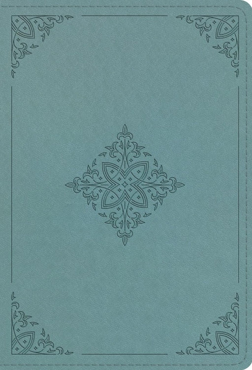 ESV Large Print Compact Bible, Paris Sky
