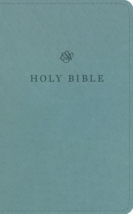 ESV Premium Church Bible, Paris Sky