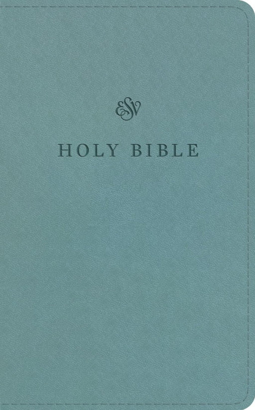 ESV Premium Church Bible, Paris Sky