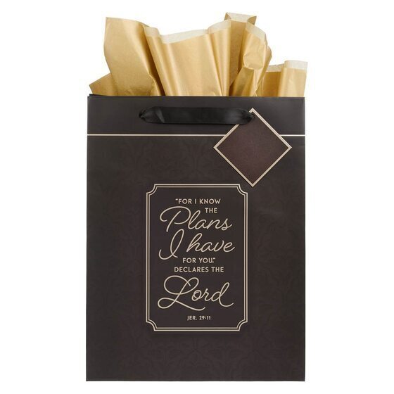 I Know The Plans Graphite Grey Large Portrait Gift Bag