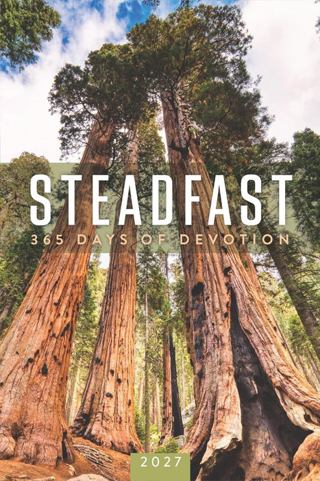 Steadfast 2027