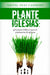 Plante Iglesias