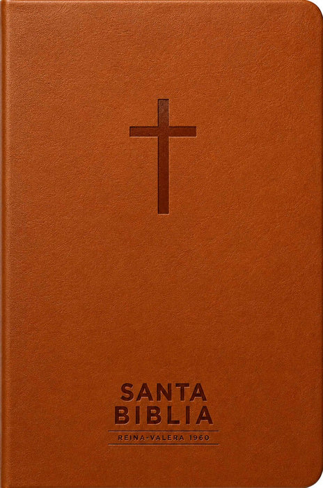 Santa Biblia Reina-Valera 1960 - Visual Con Mapas Mentales