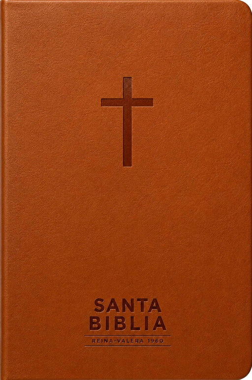 Santa Biblia Reina-Valera 1960 - Visual Con Mapas Mentales