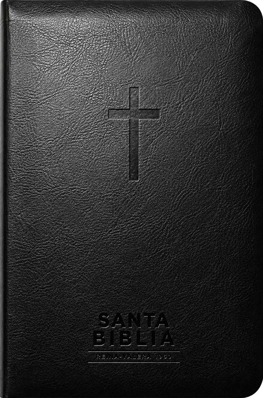 Santa Biblia Reina-Valera 1960 - Visual Con Mapas Mentales