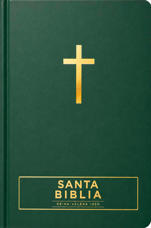 Santa Biblia Reina-Valera 1960 - Visual Con Mapas Mentales