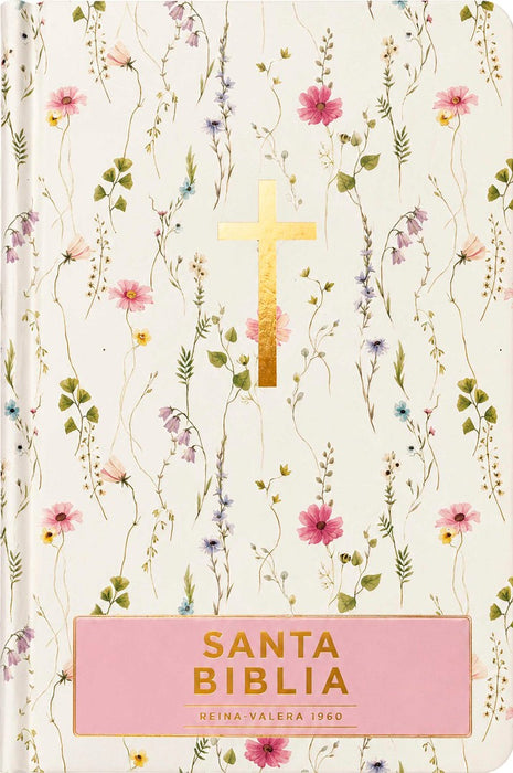 Santa Biblia Reina-Valera 1960 - Visual Con Mapas Mentales