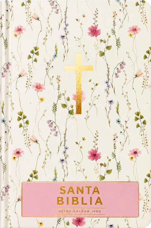 Santa Biblia Reina-Valera 1960 - Visual Con Mapas Mentales