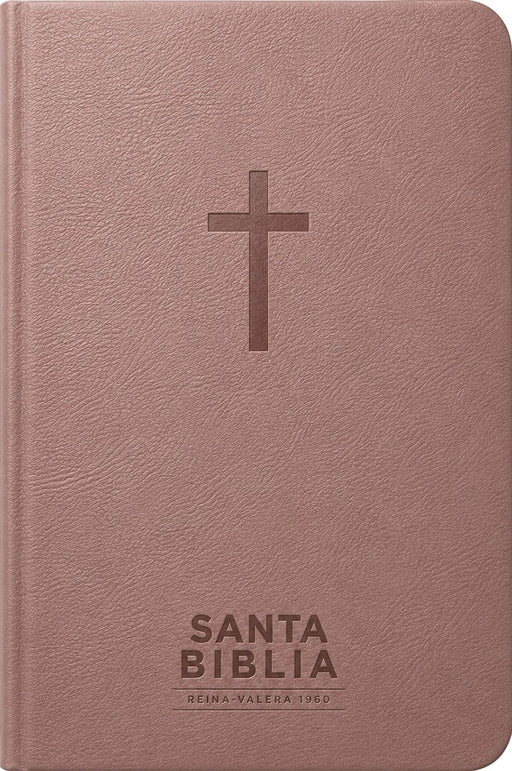 Santa Biblia Reina-Valera 1960 - Visual Con Mapas Mentales