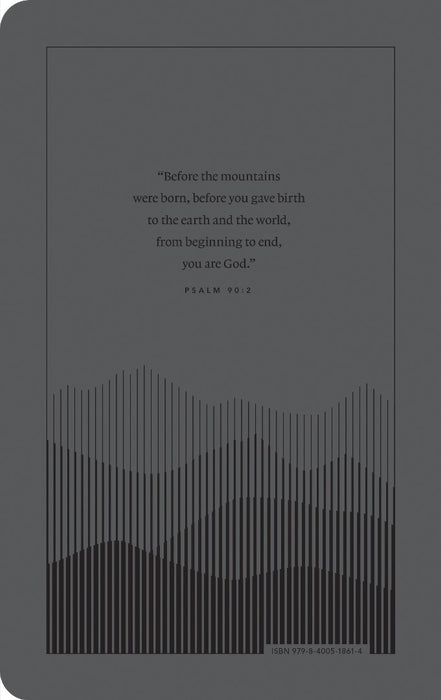 NLT Premium Value Thinline Bible, Filament Enabled, Gray