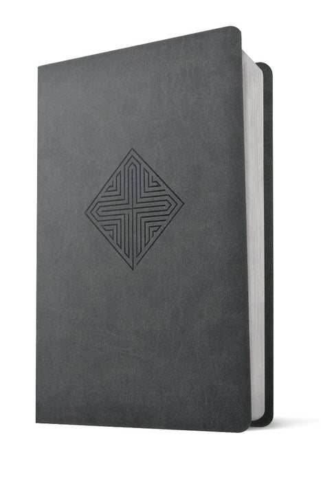 NLT Large Print Premium Value Thinline Bible, Gray