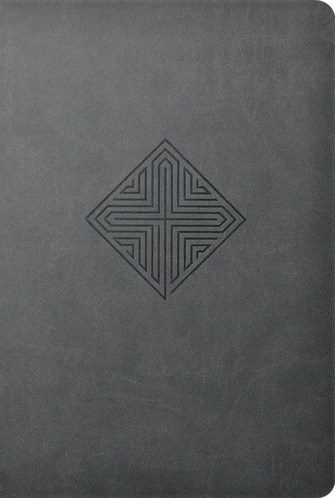 NLT Large Print Premium Value Thinline Bible, Gray