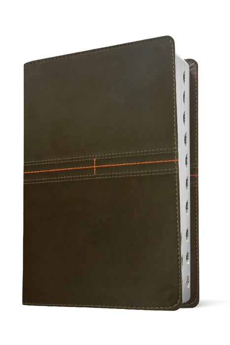 NLT Every Man's Bible, Filament Enabled, Gray, Indexed