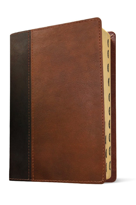 NLT Every Man's Bible, Large Print, Brown/Tan, Indexed
