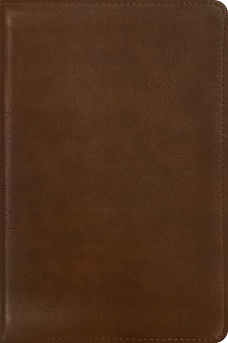 Message Deluxe Gift Zipper Bible, Large Print, Brown