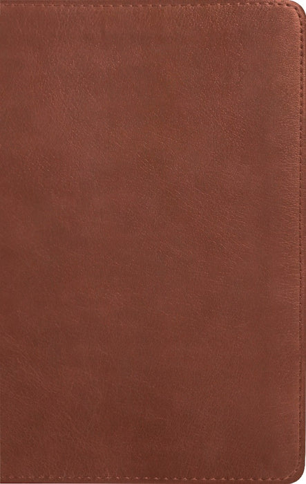 Message Deluxe Gift Bible, Chestnut Brown
