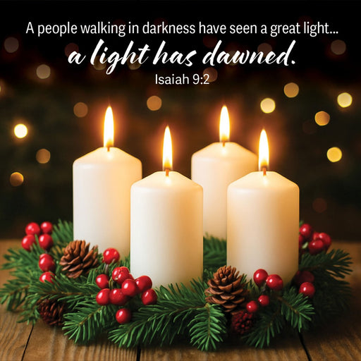 A Light Has Dawned Chistmas Cards (Pack Of 10)