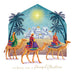 Tearfund - King's Peaceful Christmas - (Pack Of 10)