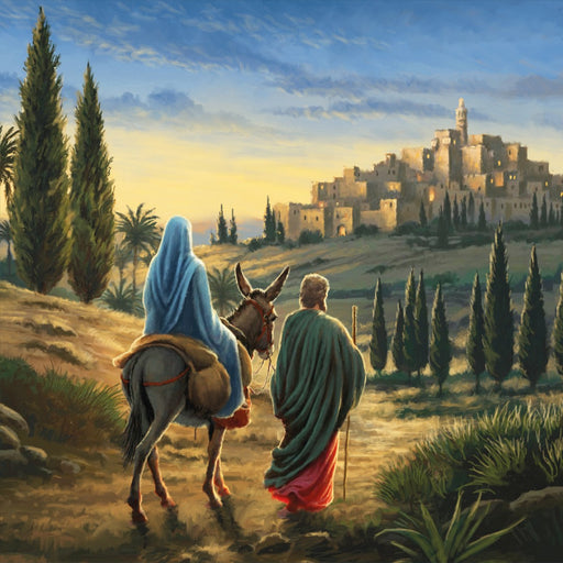 Compassion Charity Christmas Cards: Journey To Bethlehem (10