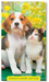 2027-2028 Pocket Planner: Whiskers & Paws