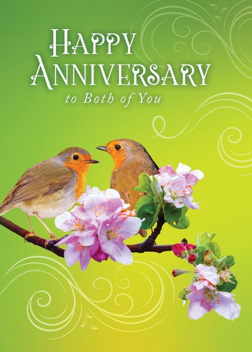 Feathered Friends Boxed Cards (Pack of 12)