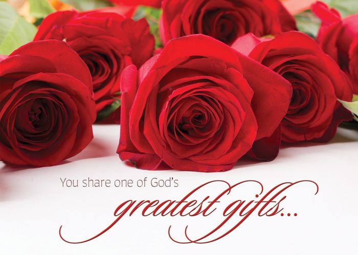Roses in Bloom Boxed Cards (Pack of 12)