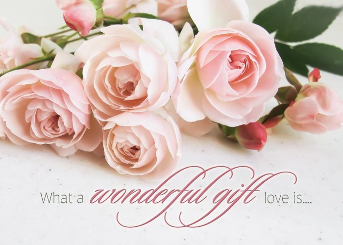 Roses in Bloom Boxed Cards (Pack of 12)