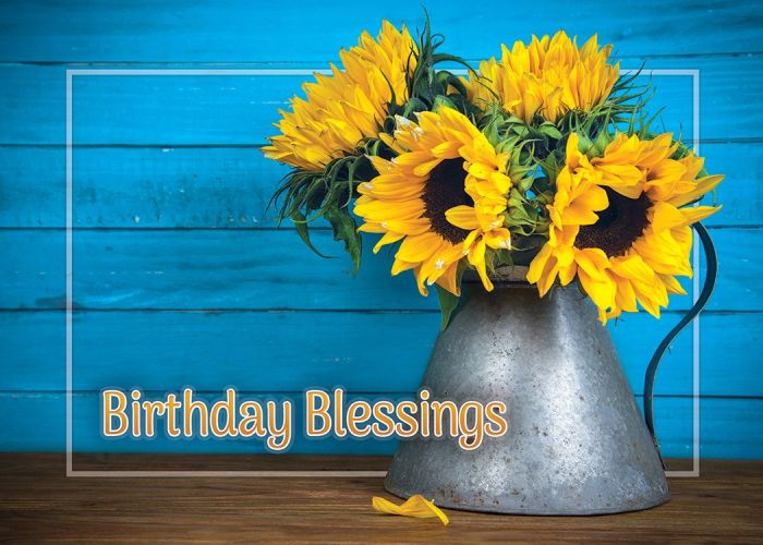 Sunny Wishes Boxed Cards (Pack of 12)