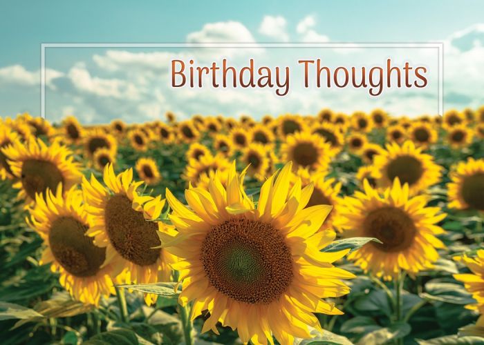 Sunny Wishes Boxed Cards (Pack of 12)