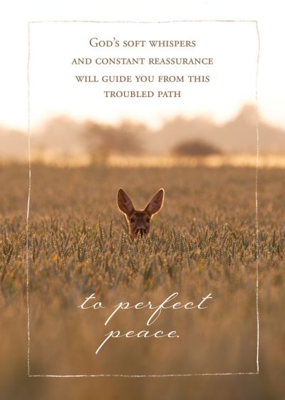 Perfect Peace Boxed Cards (Pack of 12)