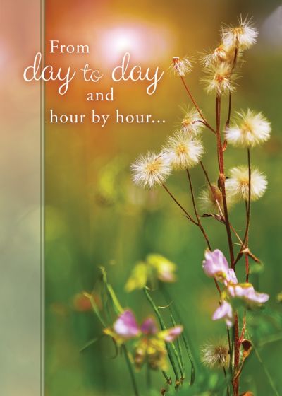 Day by Day Boxed Cards (Pack of 12)