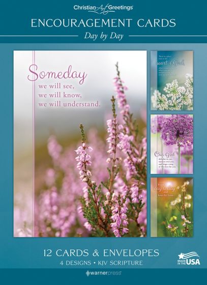 Day by Day Boxed Cards (Pack of 12)