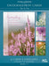 Day by Day Boxed Cards (Pack of 12)