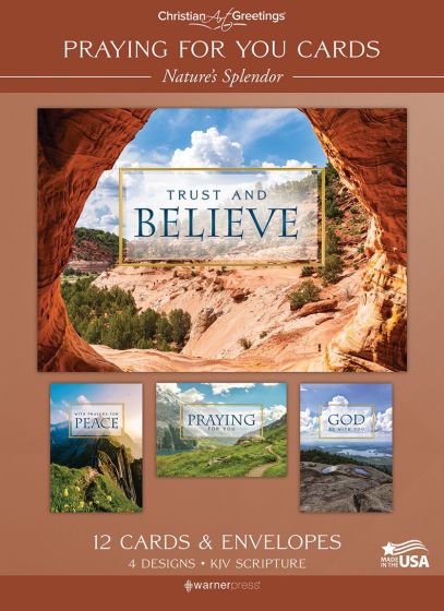 Nature's Splendour Boxed Cards (Pack of 12)