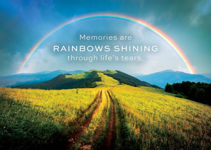 Precious Memories Boxed Cards (Pack of 12)